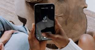 Download Video TikTok Tanpa Watermark