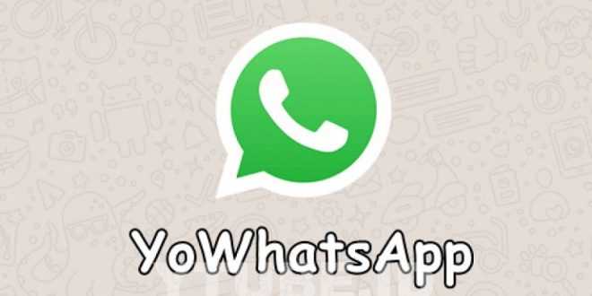 Download Apk YoWhatsapp