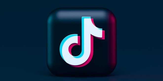 Download Video TikTok Tanpa Nama