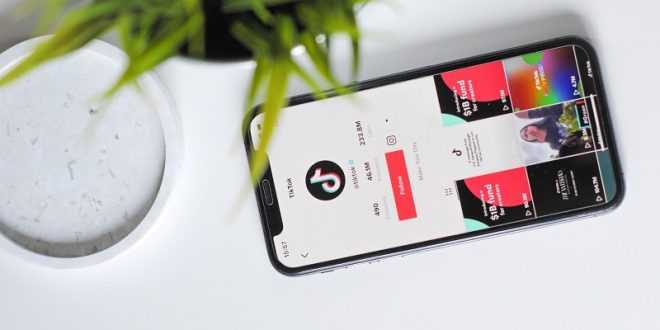 Cara Menambah Followers TikTok