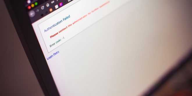 Viral Video Museum 2021